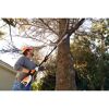 Person verwendet STIHL Hoch-Entaster