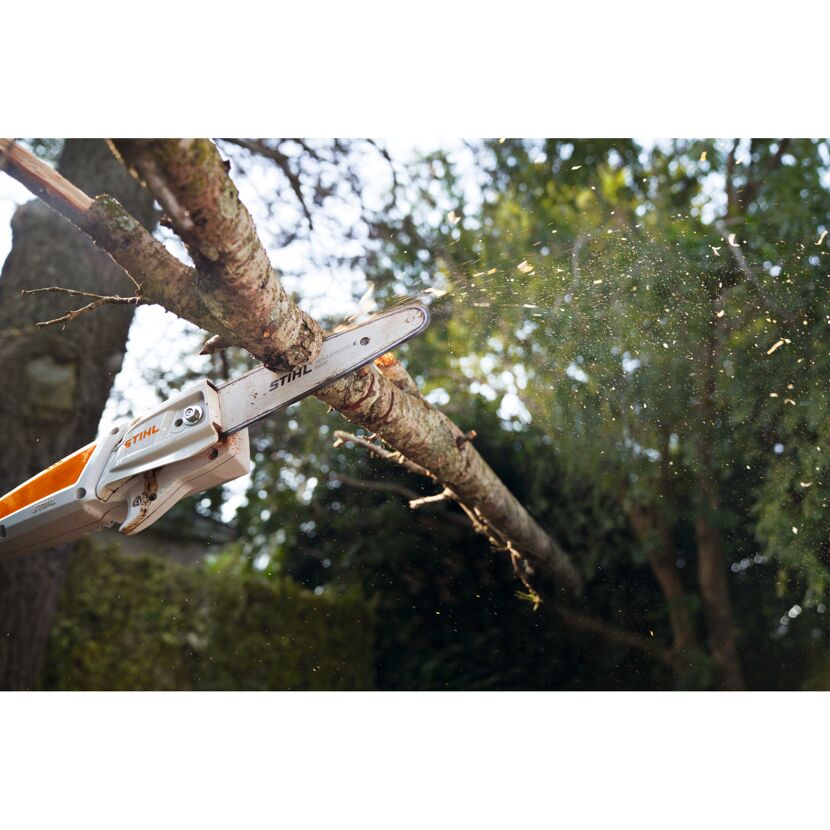 Person sägt mit Stihl Akku-Hochentaster HTA 50 einen Ast ab