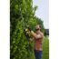 Person schneidet Hecke mit Akku-Heckenschere