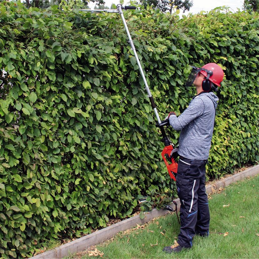 Person schneidet hohe Hecke mit elektrischer Heckenschere