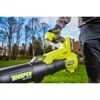 Person hält ein RYOBI Akku-Laubgebläse