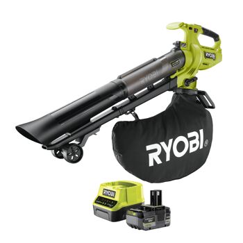 RYOBI Akku-Laubsauger mit Zubehör