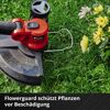 Einhell Akku-Rasentrimmer GE-CT 18/30 Li-Solo beim Trimmen