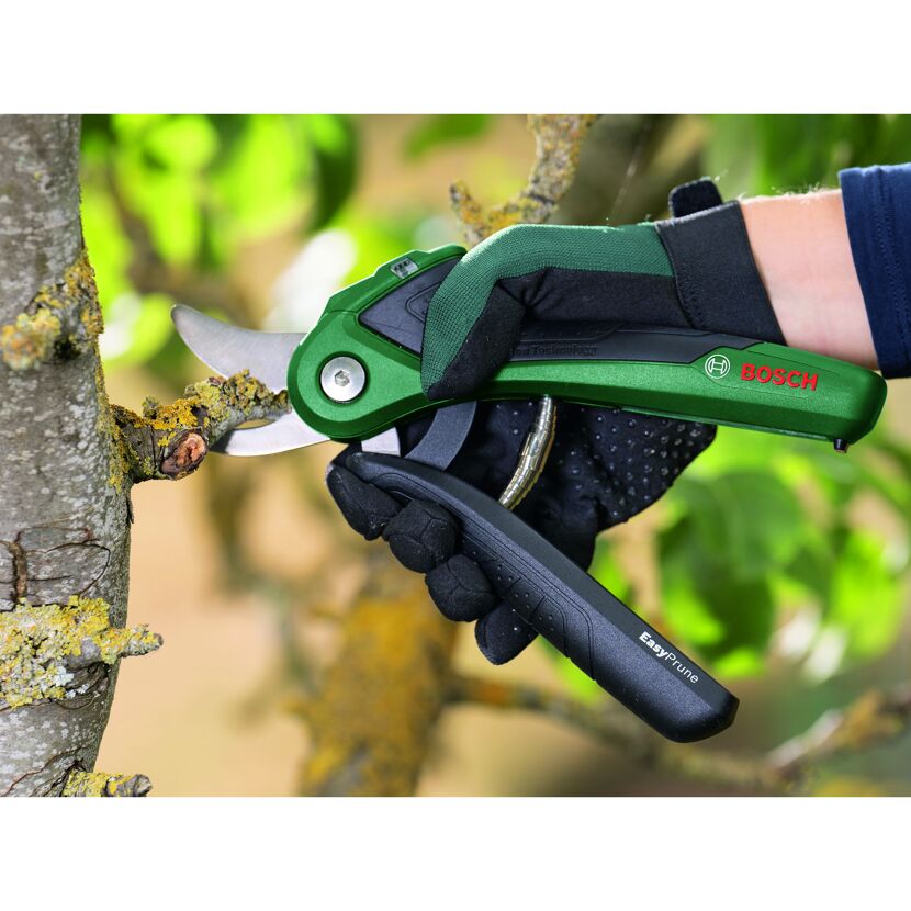 Person schneidet mit Akku-Gartenschere Bosch EasyPrune einen Ast