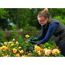 Person schneidet mit EasyPrune gelbe Rosen