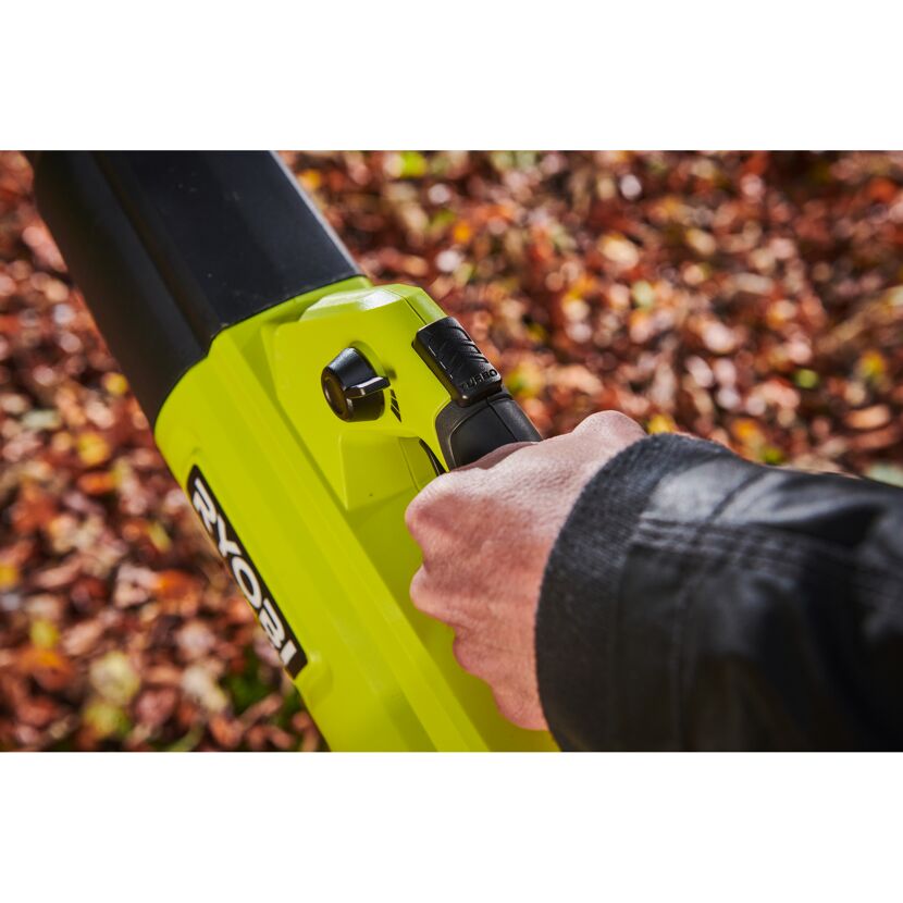Hand hält einen Laubbläser von Ryobi.