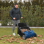 Laub- und Rasensammler 'BG-LGS 515' 66,7 x 77,2 x 118,5 cm
