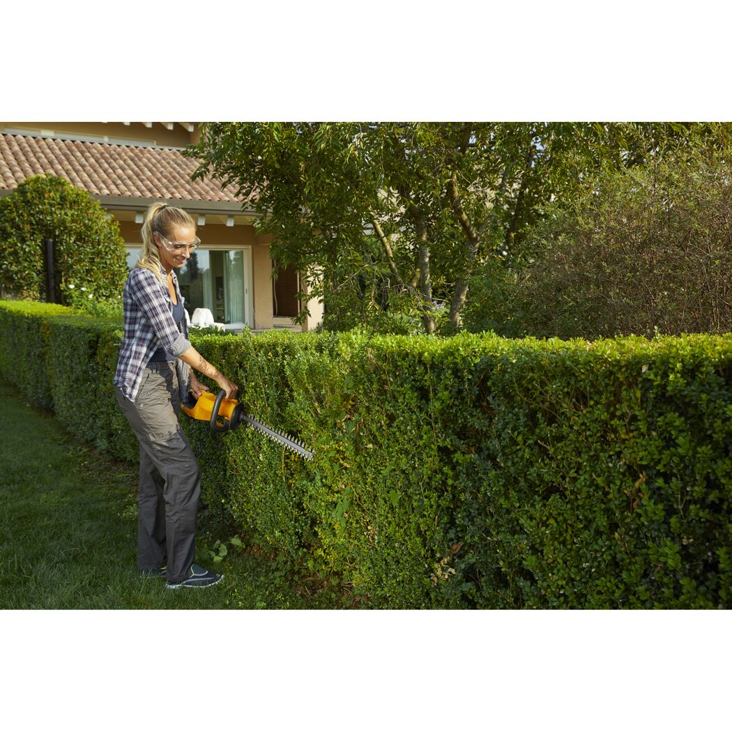 Person schneidet Hecke mit Akku-Heckenschere