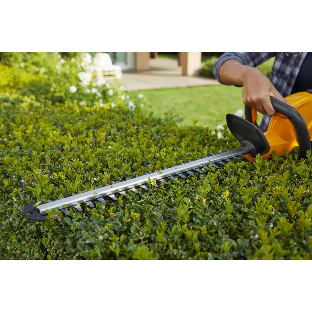 Person schneidet eine Hecke mit einer elektrischen Heckenschere.