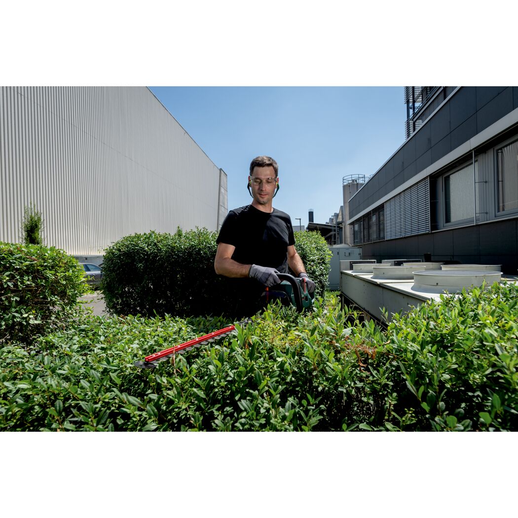 Person schneidet eine Hecke mit einer Akku-Heckenschere.