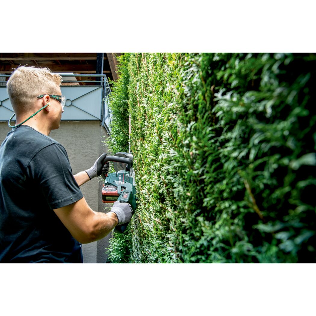 Person schneidet Hecke mit Akku-Heckenschere.