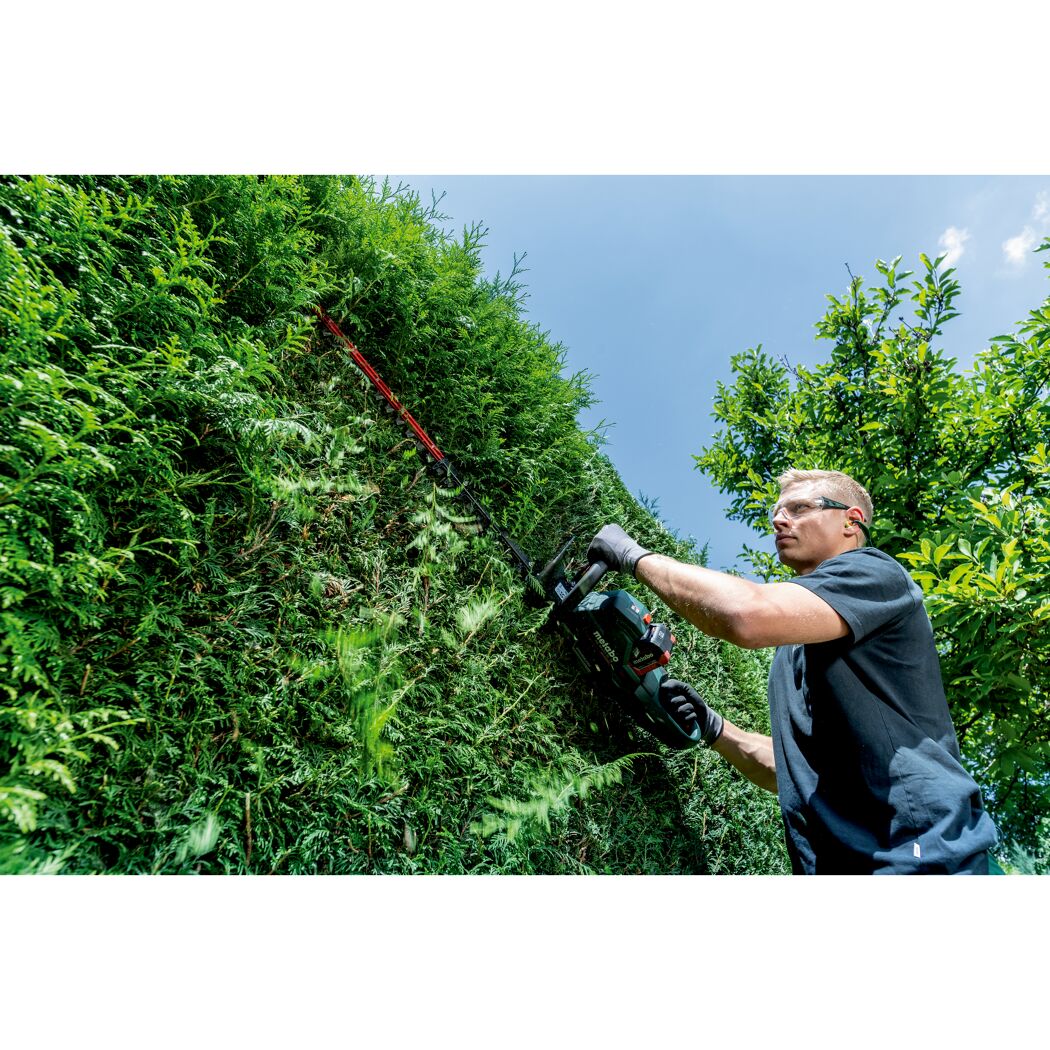 Person schneidet Hecke mit Akku-Heckenschere