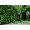 Person schneidet Hecke mit Akku-Heckenschere