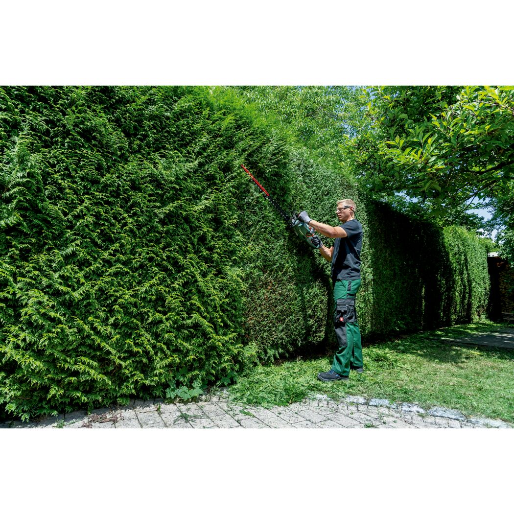 Person schneidet Hecke mit Akku-Heckenschere