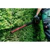 Person schneidet Hecke mit Akku-Heckenschere