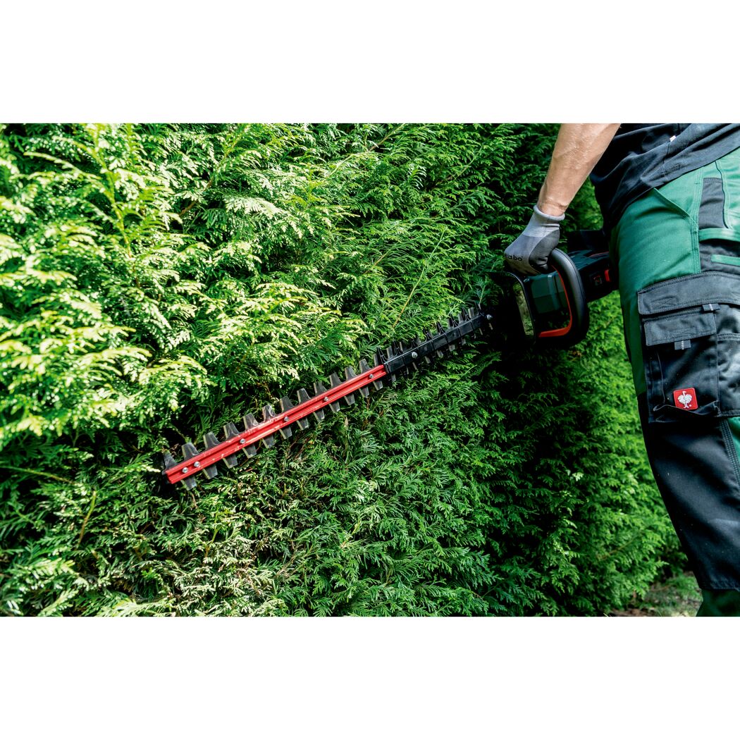 Person schneidet Hecke mit Akku-Heckenschere