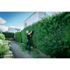 Person schneidet Hecke mit Akku-Heckenschere