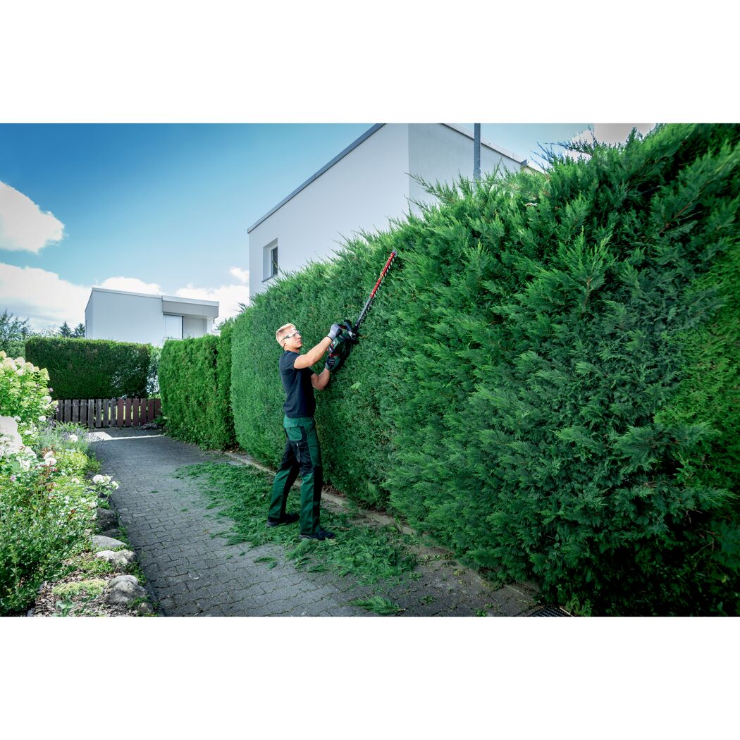 Person schneidet Hecke mit Akku-Heckenschere