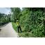 Person schneidet Hecke mit Heckenschere