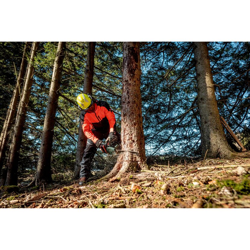 Person fällt einen Baum mit einer Kettensäge