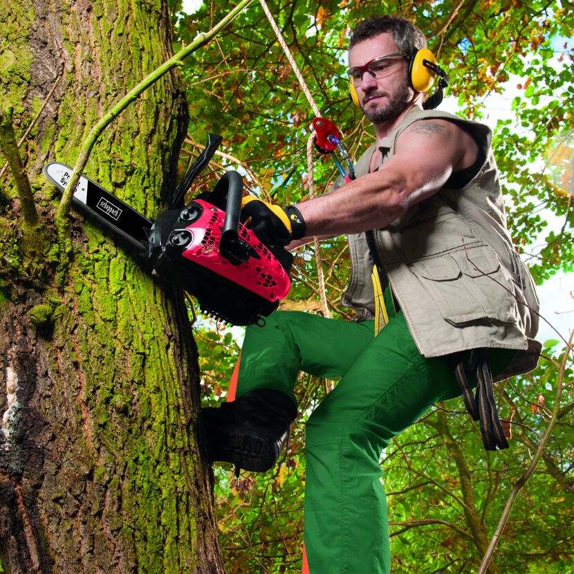 Person sägt mit Kettensäge einen Baum
