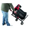 Person transportiert das Rollsieb RS 350 von Scheppach.