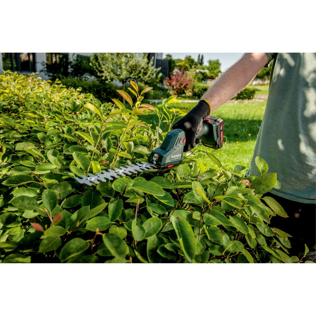 Person schneidet Hecke mit Akku-Heckenschere