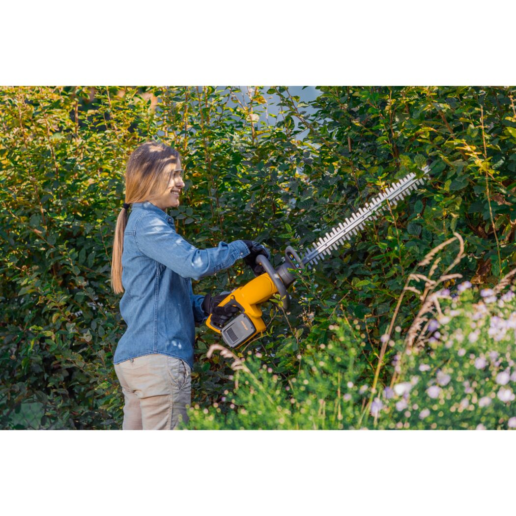 Person schneidet Hecke mit Akku-Heckenschere