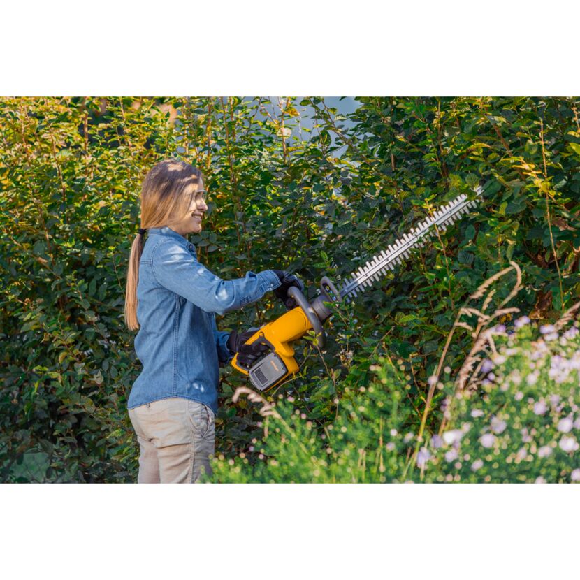 Person schneidet Hecke mit Akku-Heckenschere