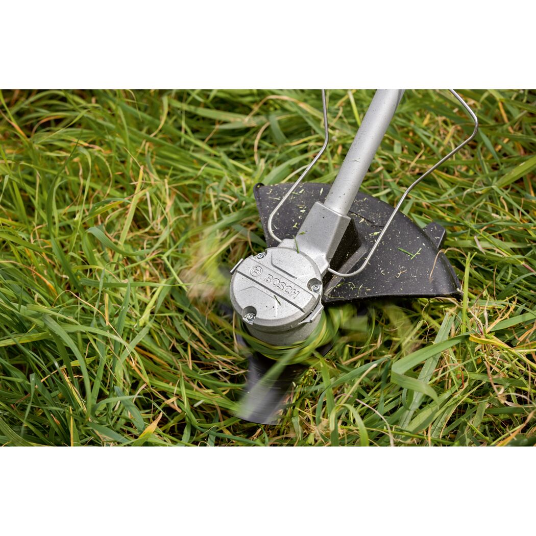 Freischneider im Gras