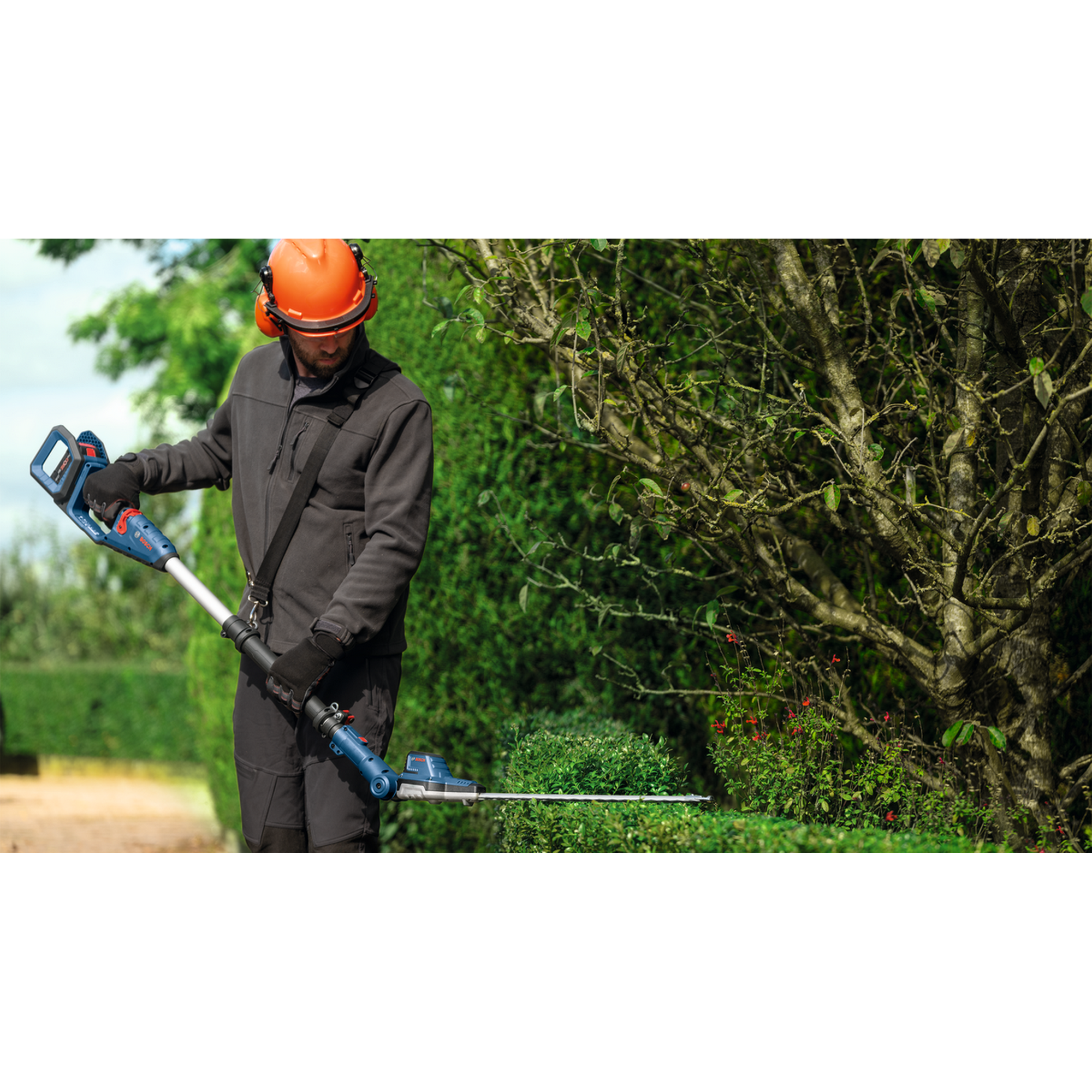 Akku-Teleskop-Heckenschere GHE 18V-50 TP Professional