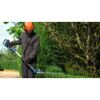 Akku-Teleskop-Heckenschere GHE 18V-50 TP Professional