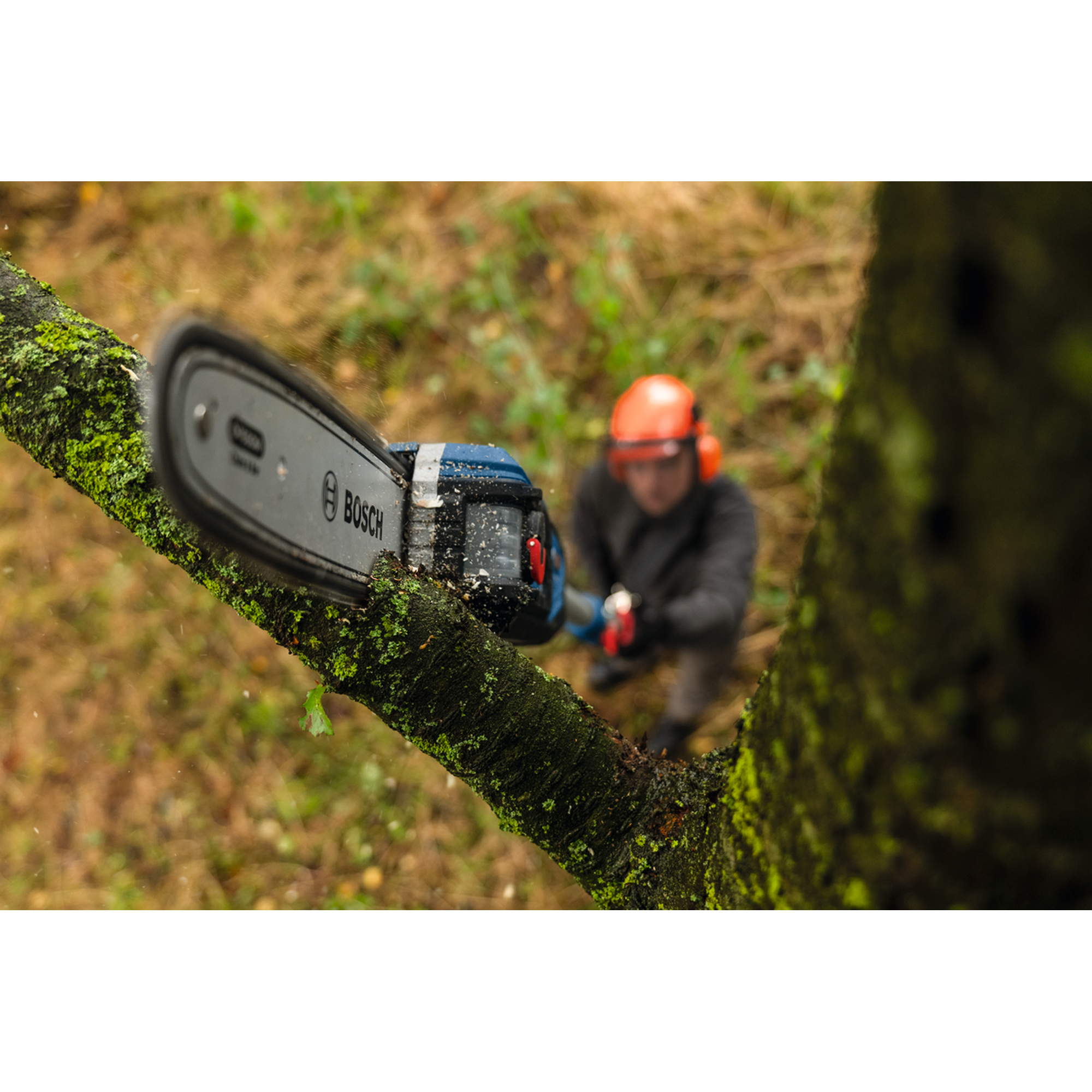 Akku-Teleskop-Hochentaster GKE 18V-25 TP Professional