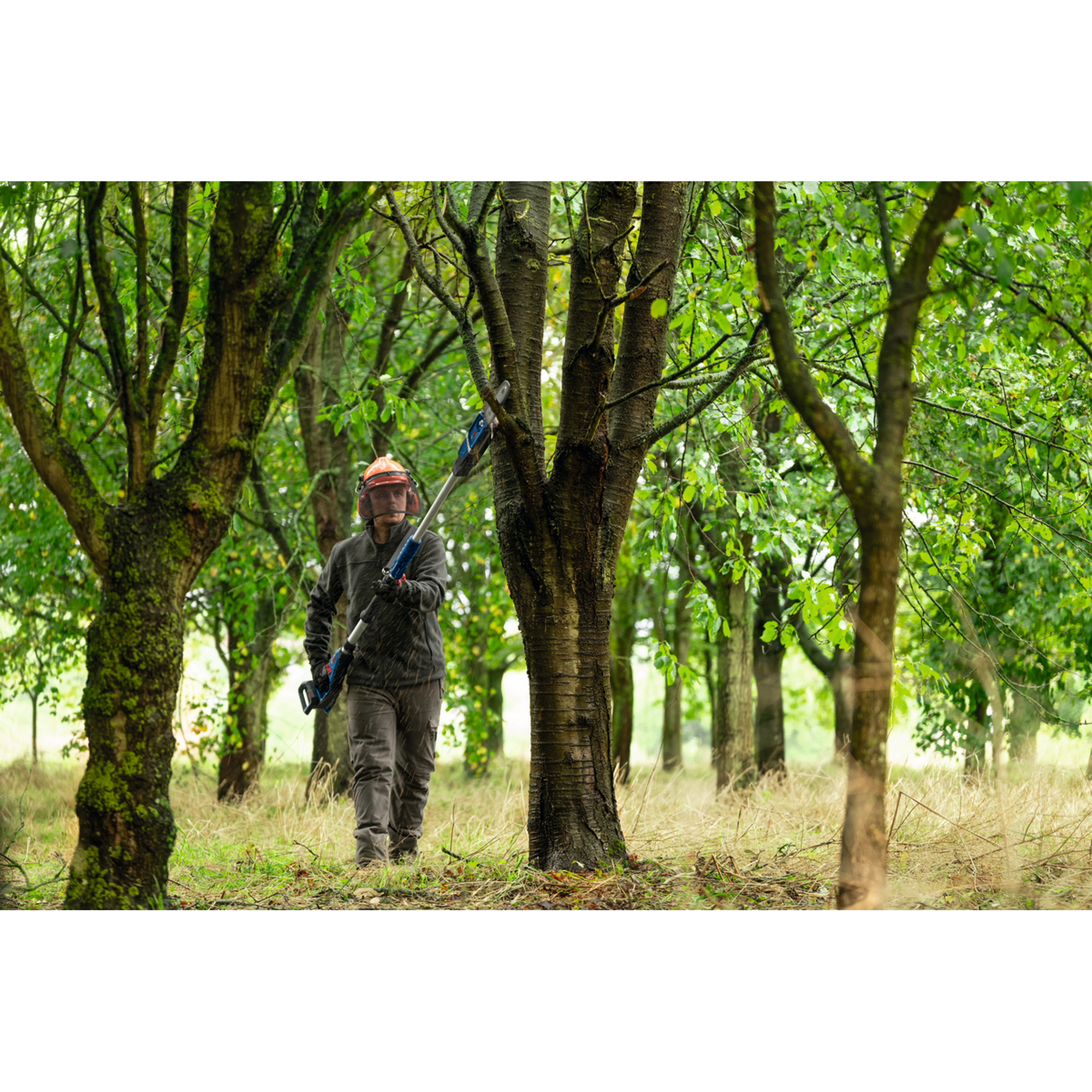 Akku-Teleskop-Hochentaster GKE 18V-25 TP Professional