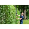 Person schneidet Hecke mit Akku-Heckenschere