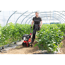 Benzin-Motorhacke 'MH 360 Easy' 2,2 kW
