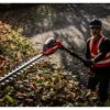 Akku-Teleskop-Heckenschere 'Professional GP-HH 18/50 Li T BL-Solo' ohne Akku und Ladegerät