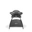 Weber Q 2400 Elektrogrill mit Standfuß