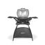 Elektrogrill Weber Q 2400 Stand dunkelgrau