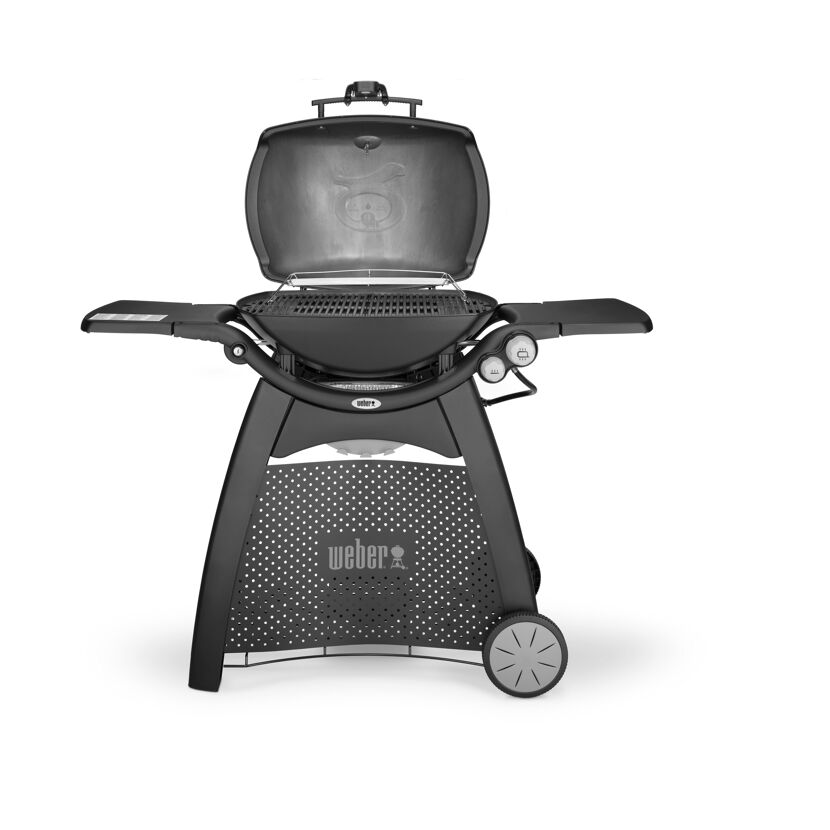Weber Q3200 Black Gasgrill
