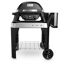 Weber Pulse 2000 Elektrogrill mit Rollwagen