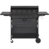 Gasgrill Columbus EF, 6+1 Brenner
