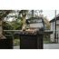 Gasgrill Monroe ProX 4 SIR Turbo Shadow