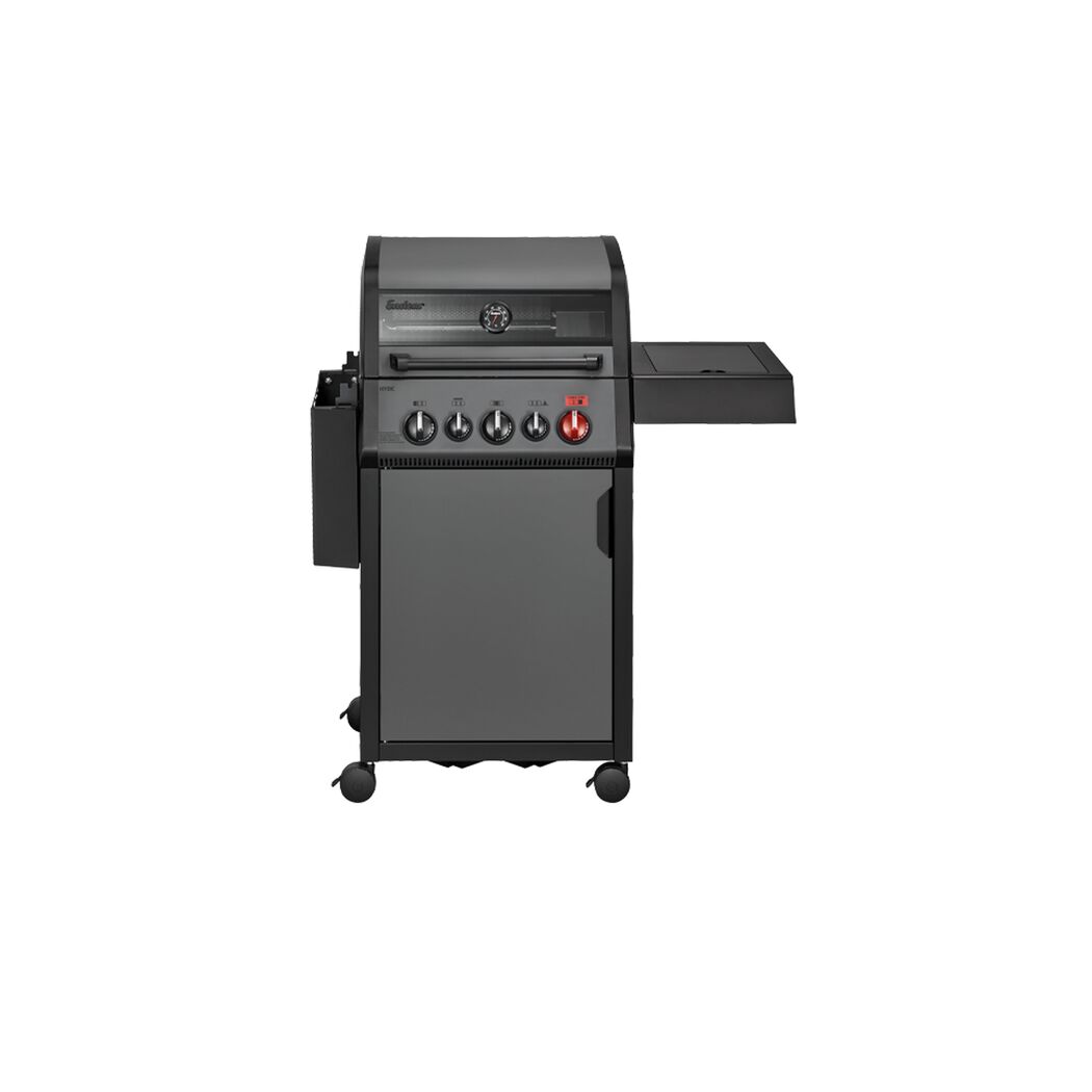 Gasgrill mit vier Brennern