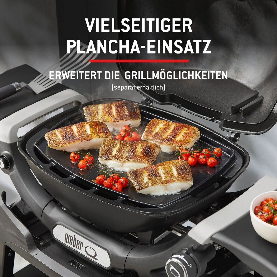 Gasgrill 'Q1100N' schwarz