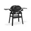 Gasgrill mit Stand 'Q2200N' schwarz