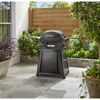 Gasgrill mit Rollwagen 'Q2800N+' schwarz