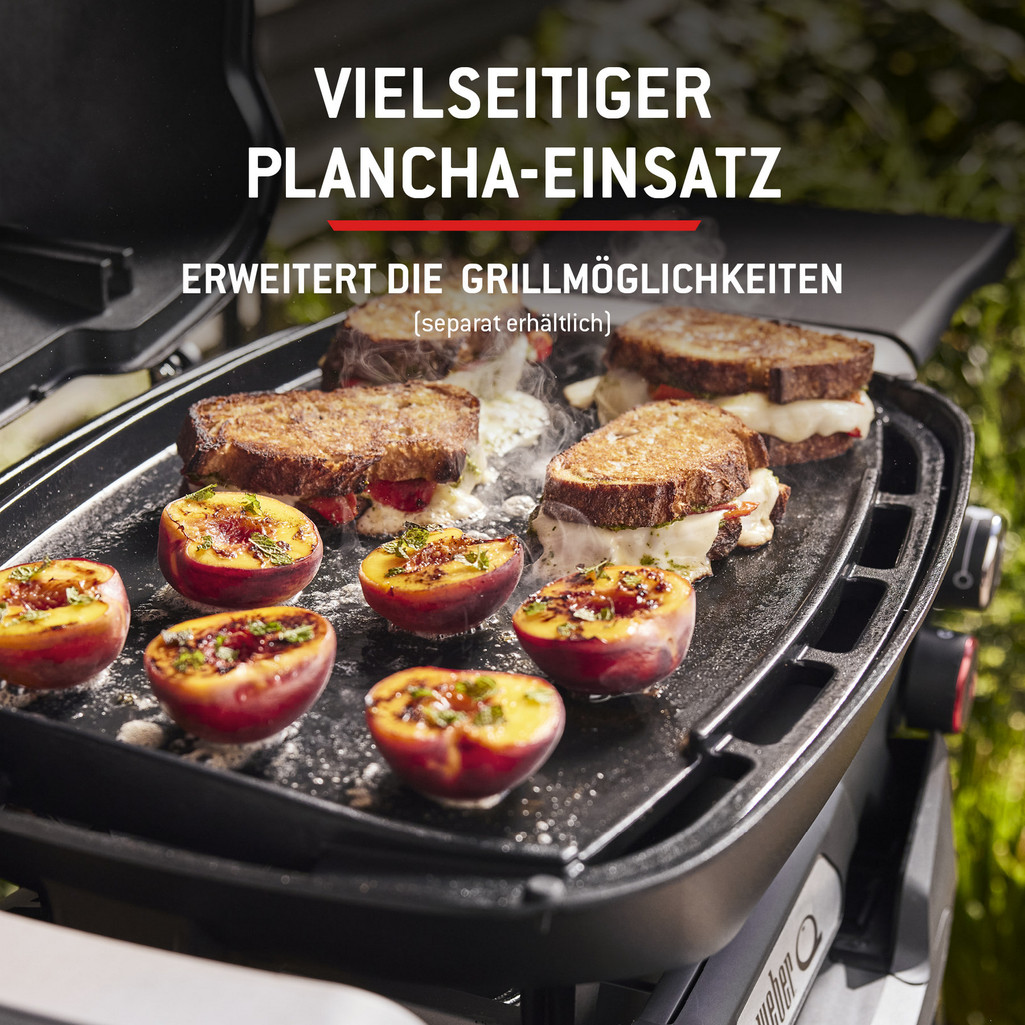 Gasgrill mit Rollwagen 'Q2800N+' schwarz