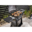 Gasgrill mit Rollwagen 'Q3200N+' schwarz