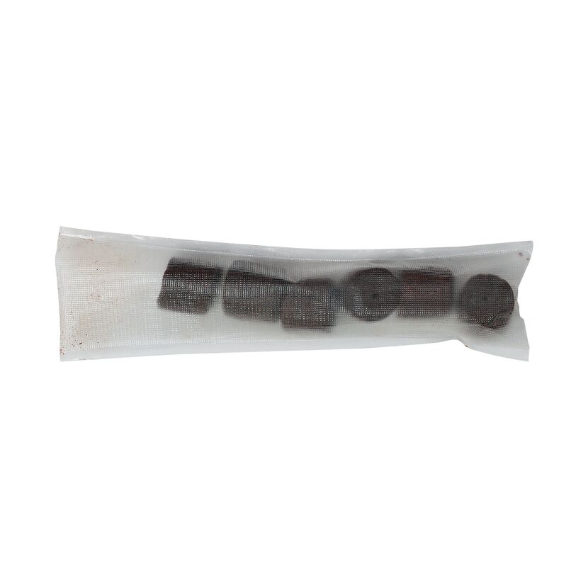 Carp PVA Bags 60x220mm, 10 Stück